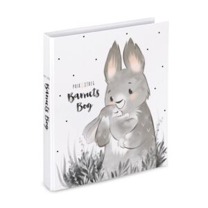 livre enfant lapins