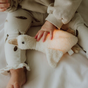 Peluche Lumineuse Flow Amsterdam Liva Oie