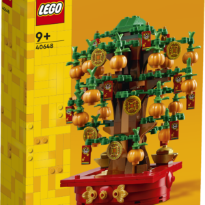 LEGO Iconic - Ensemble de Construction Collector 40648