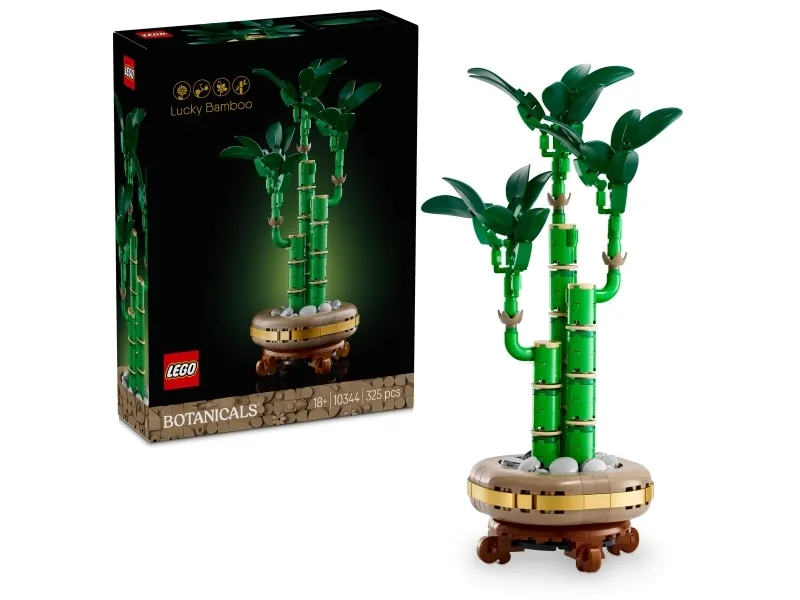 LEGO 10344 Le Bambou de la Chance