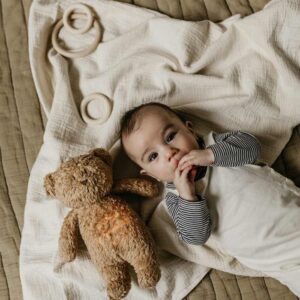Peluche Musicale Moonie Humming Bjorn Gris