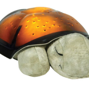 Tortue Crépuscule Mocha Lumineuse