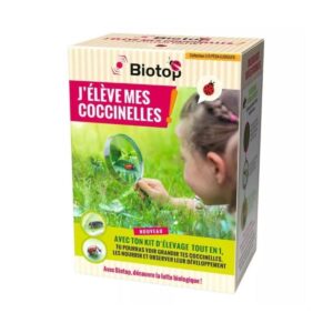 Kit d'élevage de coccinelles BIOTOP - Pour une expérience fascinante