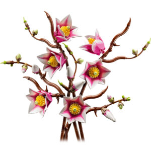 LEGO Botanicals - Branches de Magnolia